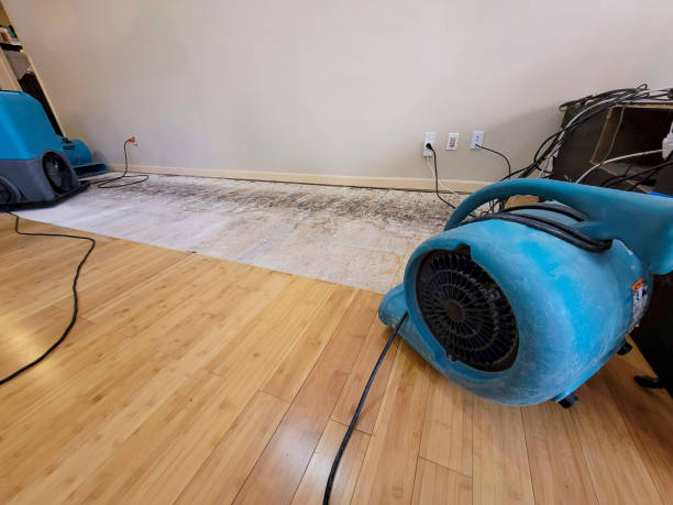 Professional Structural Drying technician working in Scotts Hill, TN